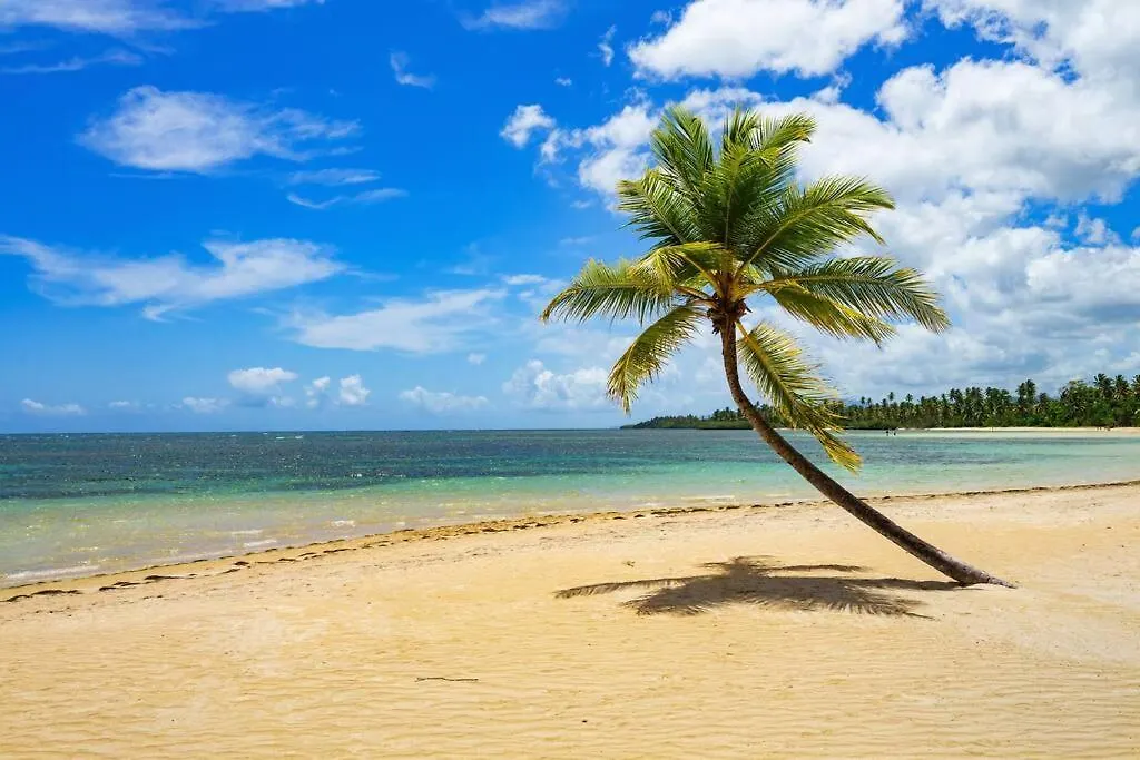 Escape Beach Villa In El Portillo Las Terrenas